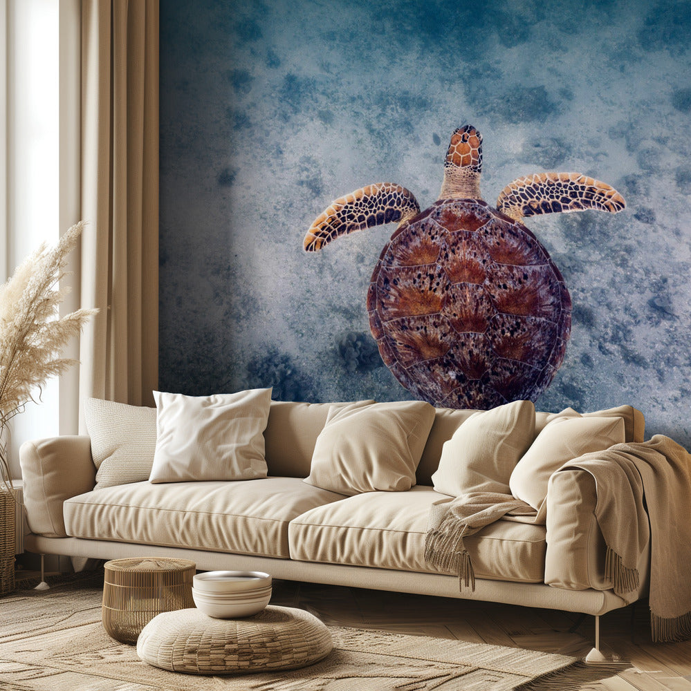 Estilo australiano | Papel Pintado Fotográfico