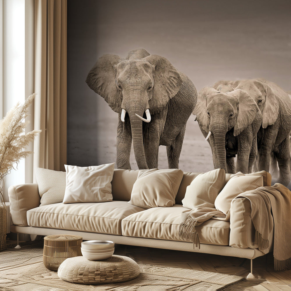 Polku | Valokuvatapetit