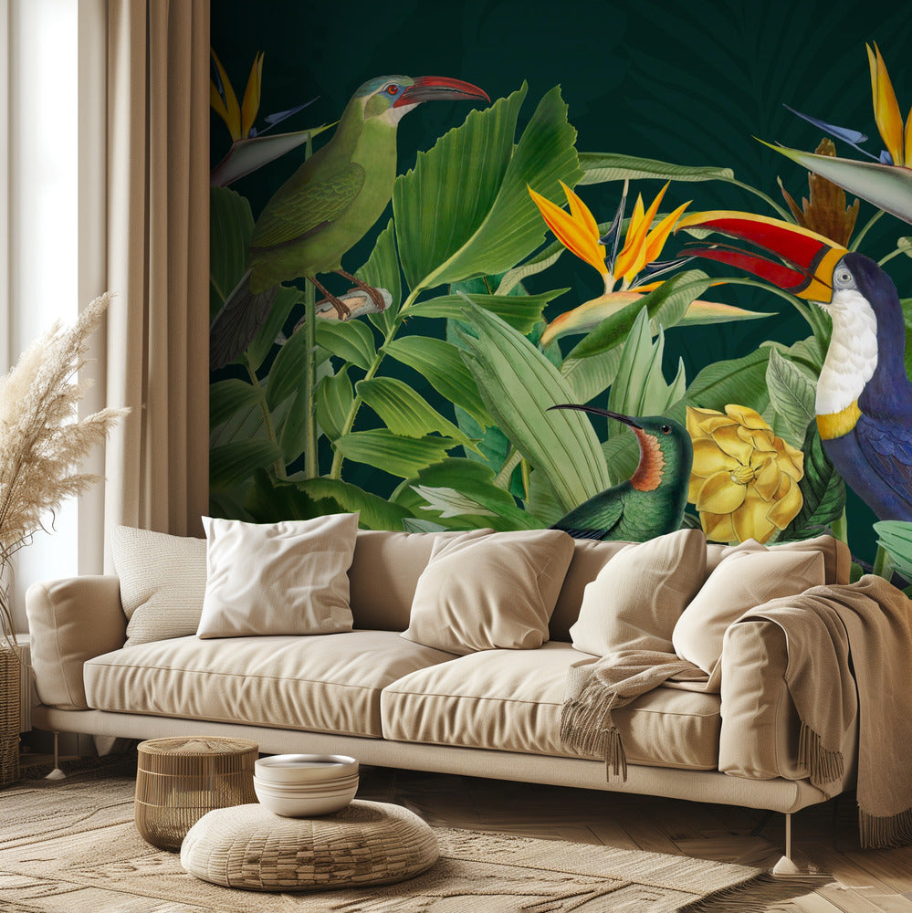 Sademetsän linnut | Valokuvatapetit