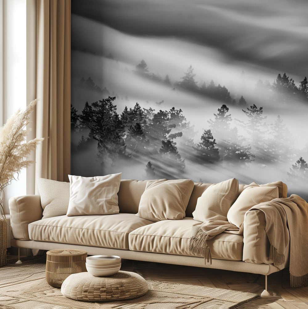 Nimetön | Valokuvatapetit