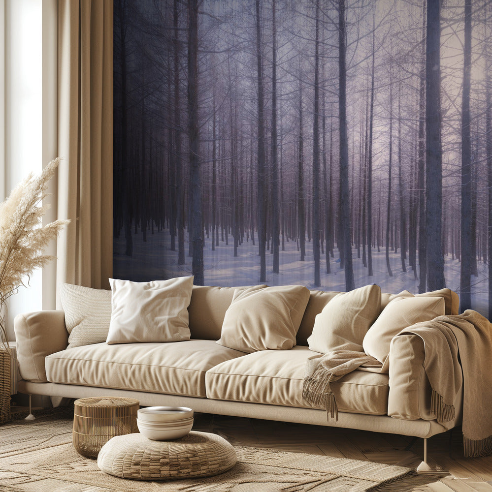 Wintersonne | Fototapeten