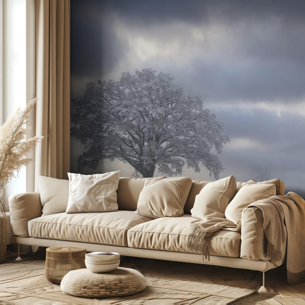 Kylmä aamu | Valokuvatapetit