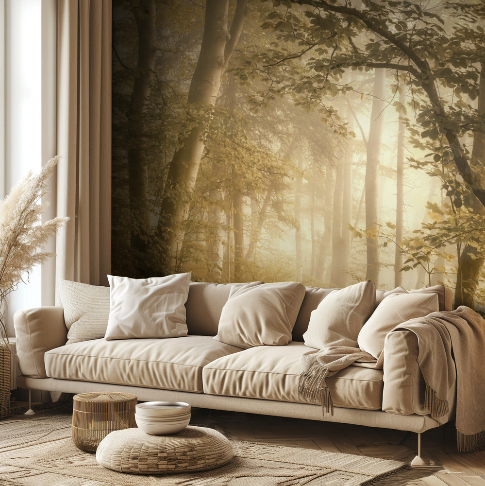 Waldlicht | Fototapeten