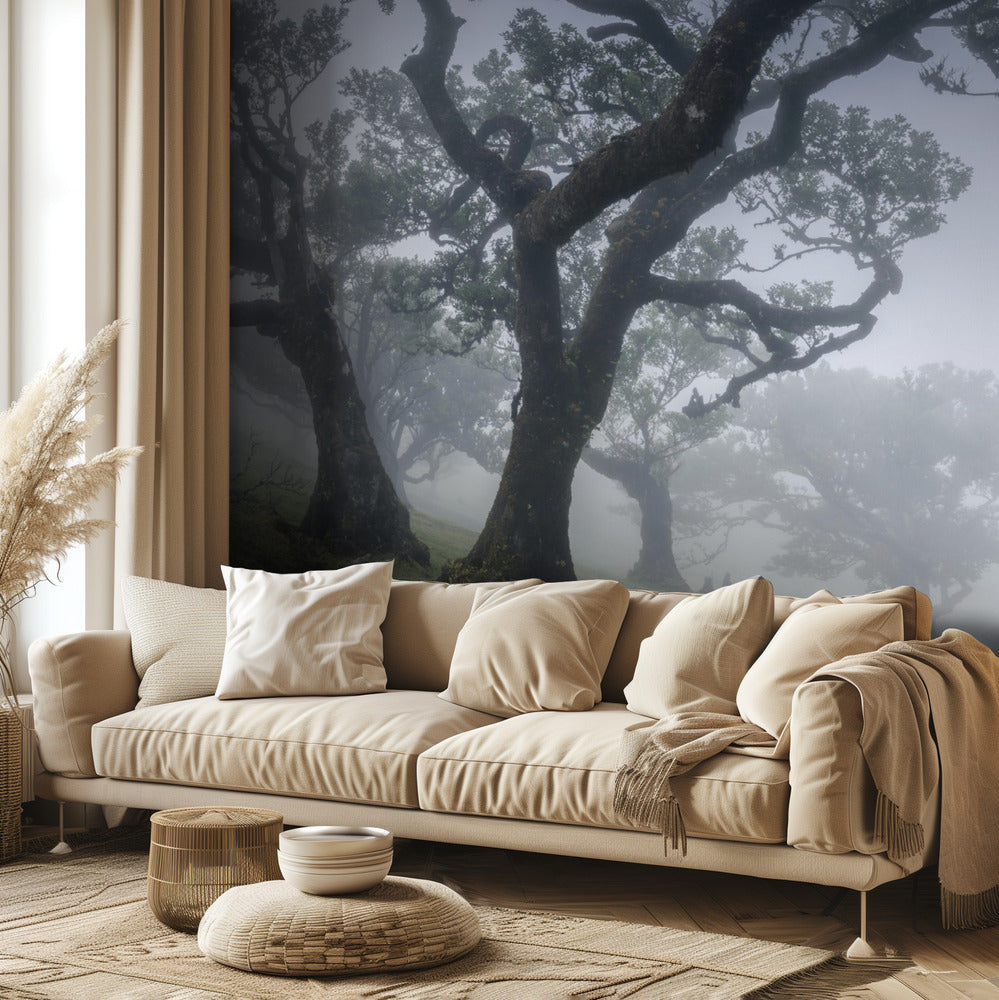 Morning mist | Wallpaper