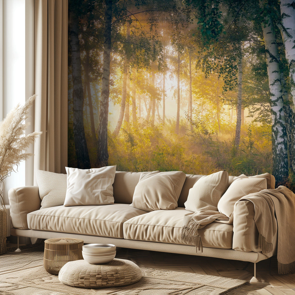 Kultaa metsässä | Valokuvatapetit