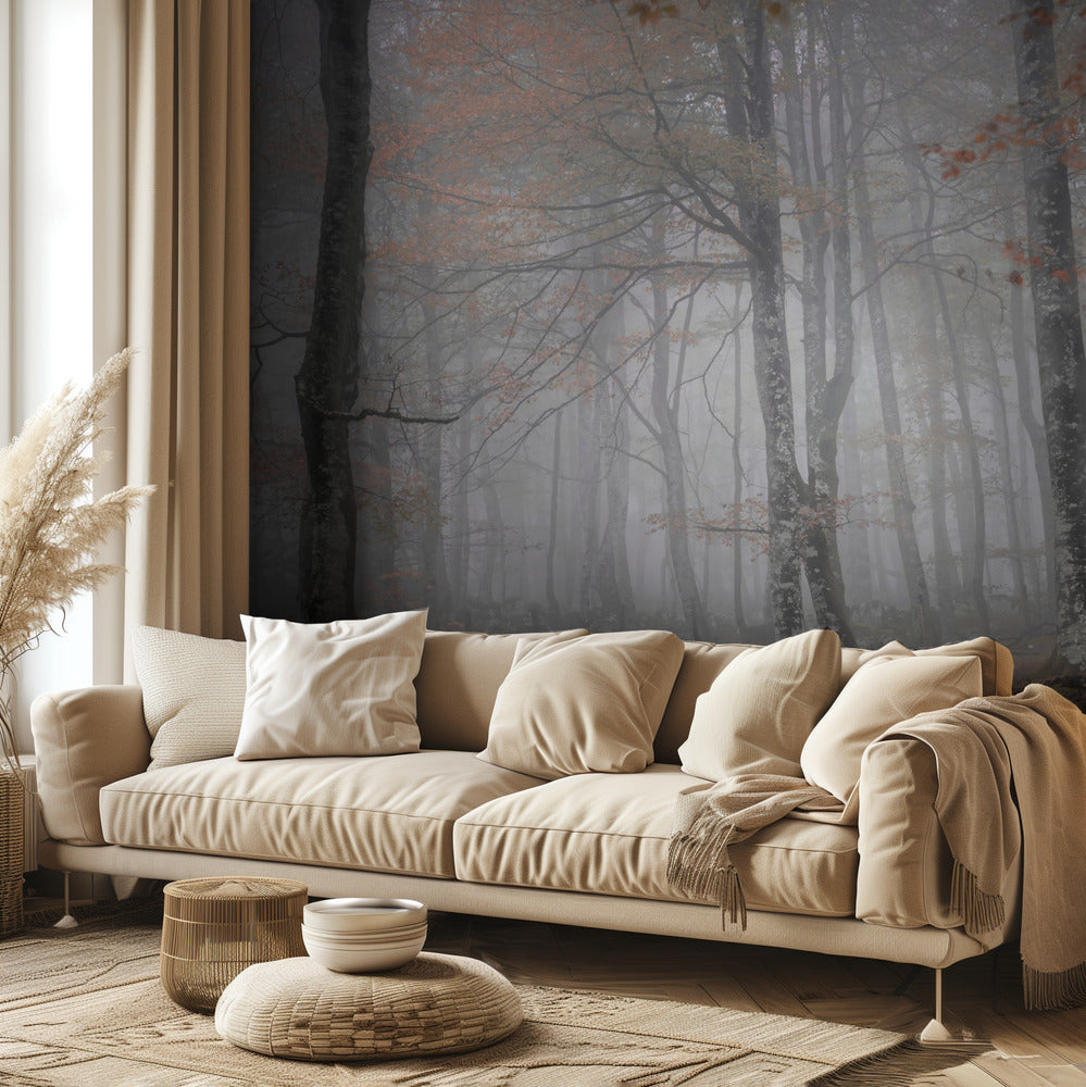 Nebbia e foresta | Carta da Parati Fotografica