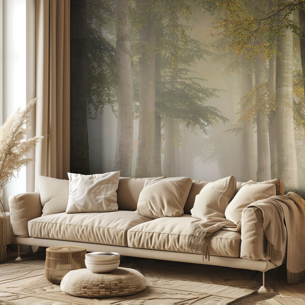 Faggi nella nebbia autunnale | Carta da Parati Fotografica