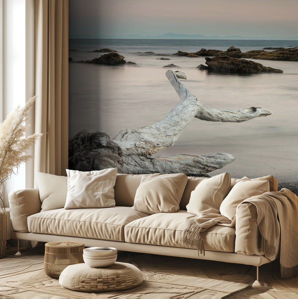 Puukalan ruho | Valokuvatapetit