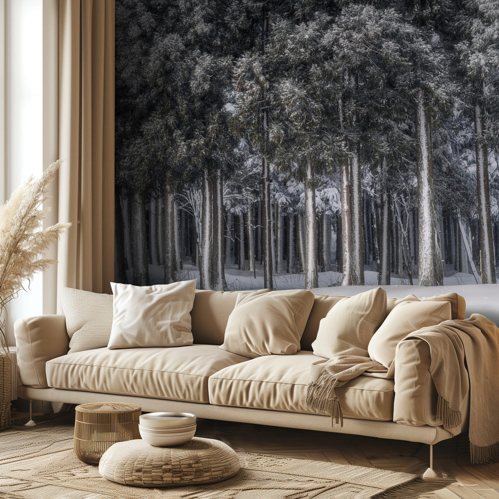 Un posto in un mondo d'argento | Carta da Parati Fotografica