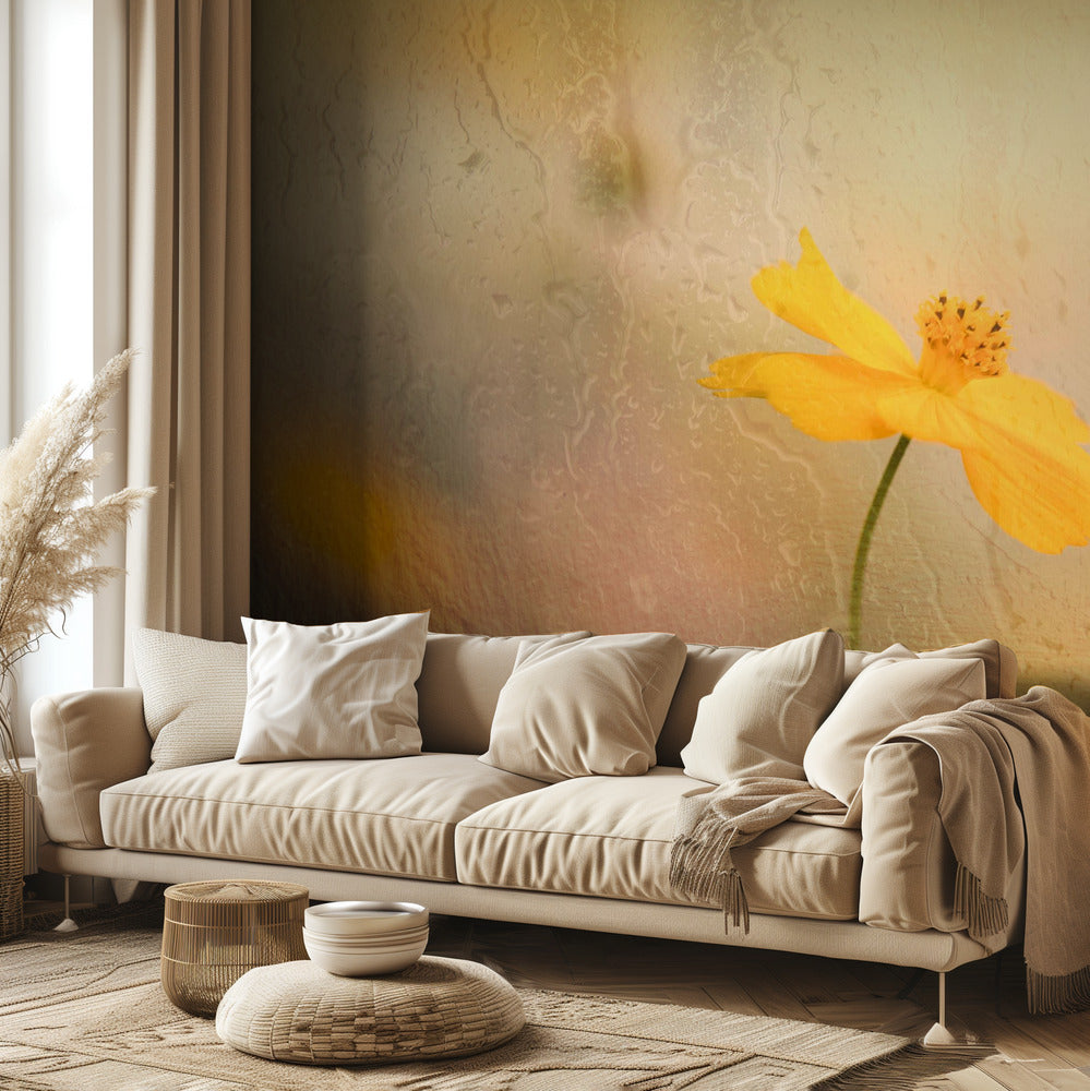 kosmos sateessa | Valokuvatapetit