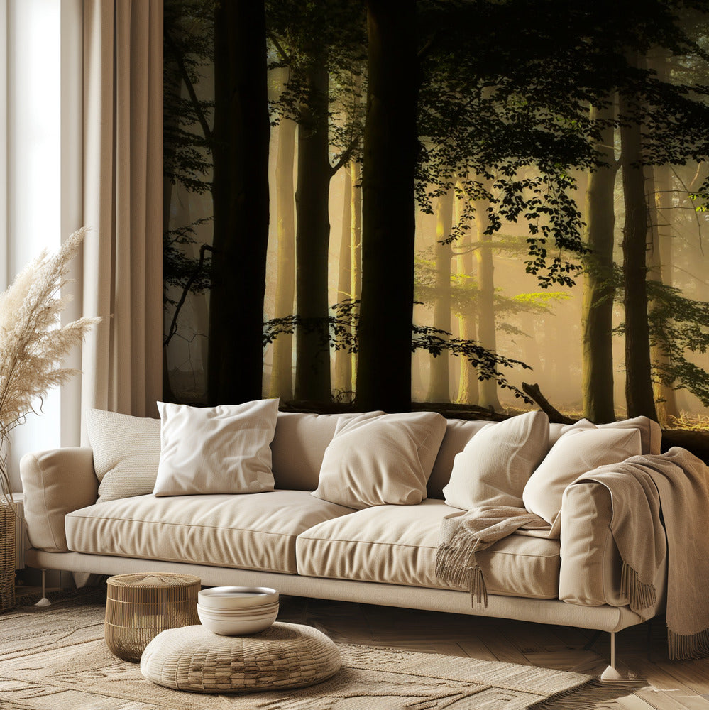 retroilluminazione | Carta da Parati Fotografica