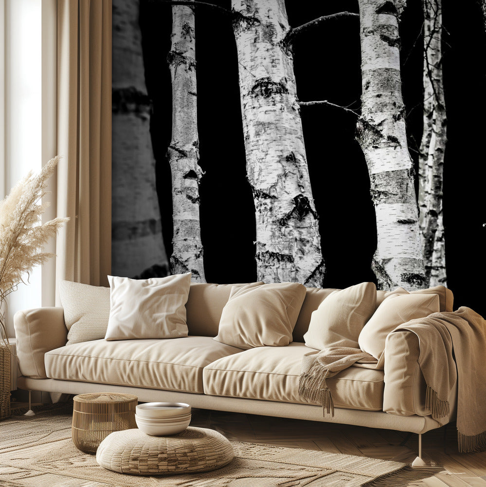 Birch Trees | Wallpaper