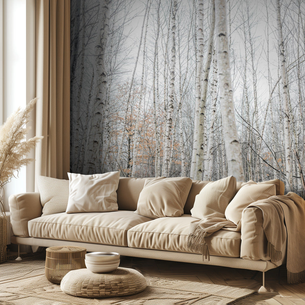 Birch Trees 9 | Wallpaper