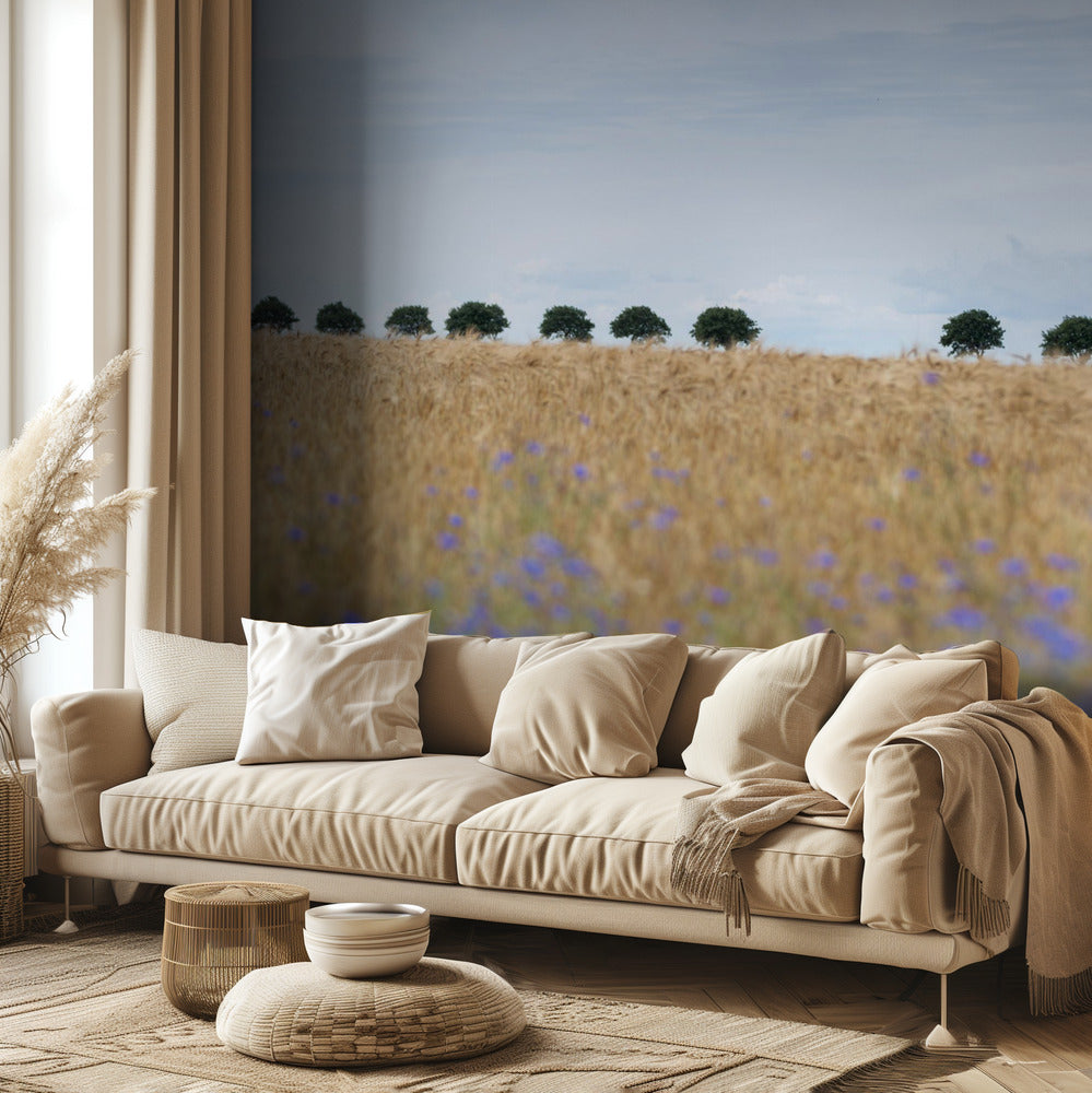 Pohjoismaisia hetkiä 4 | Valokuvatapetit