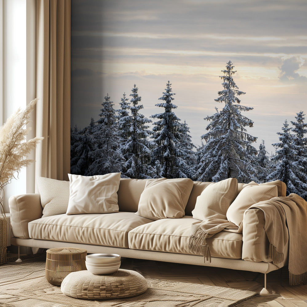 Lumen peittämät puut 8 | Valokuvatapetit