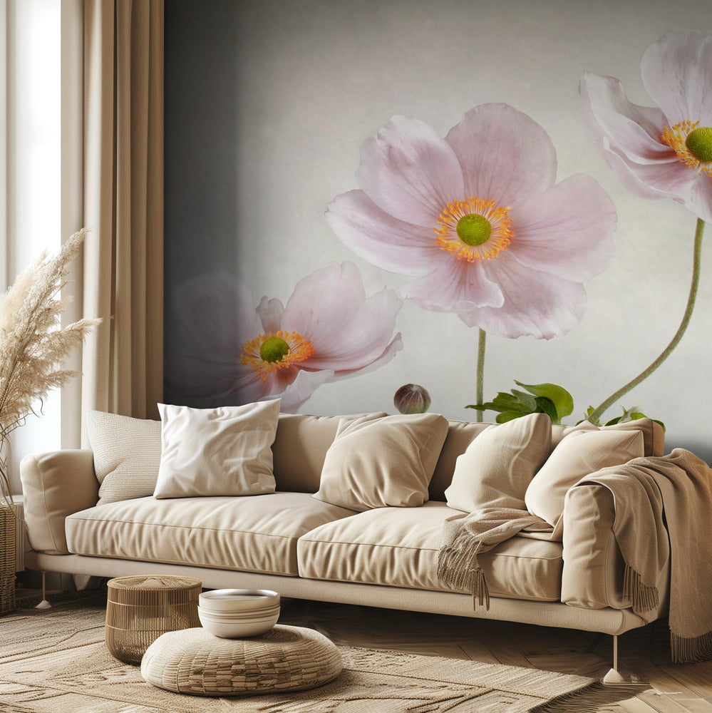 Anémonas | Papel Pintado Fotográfico