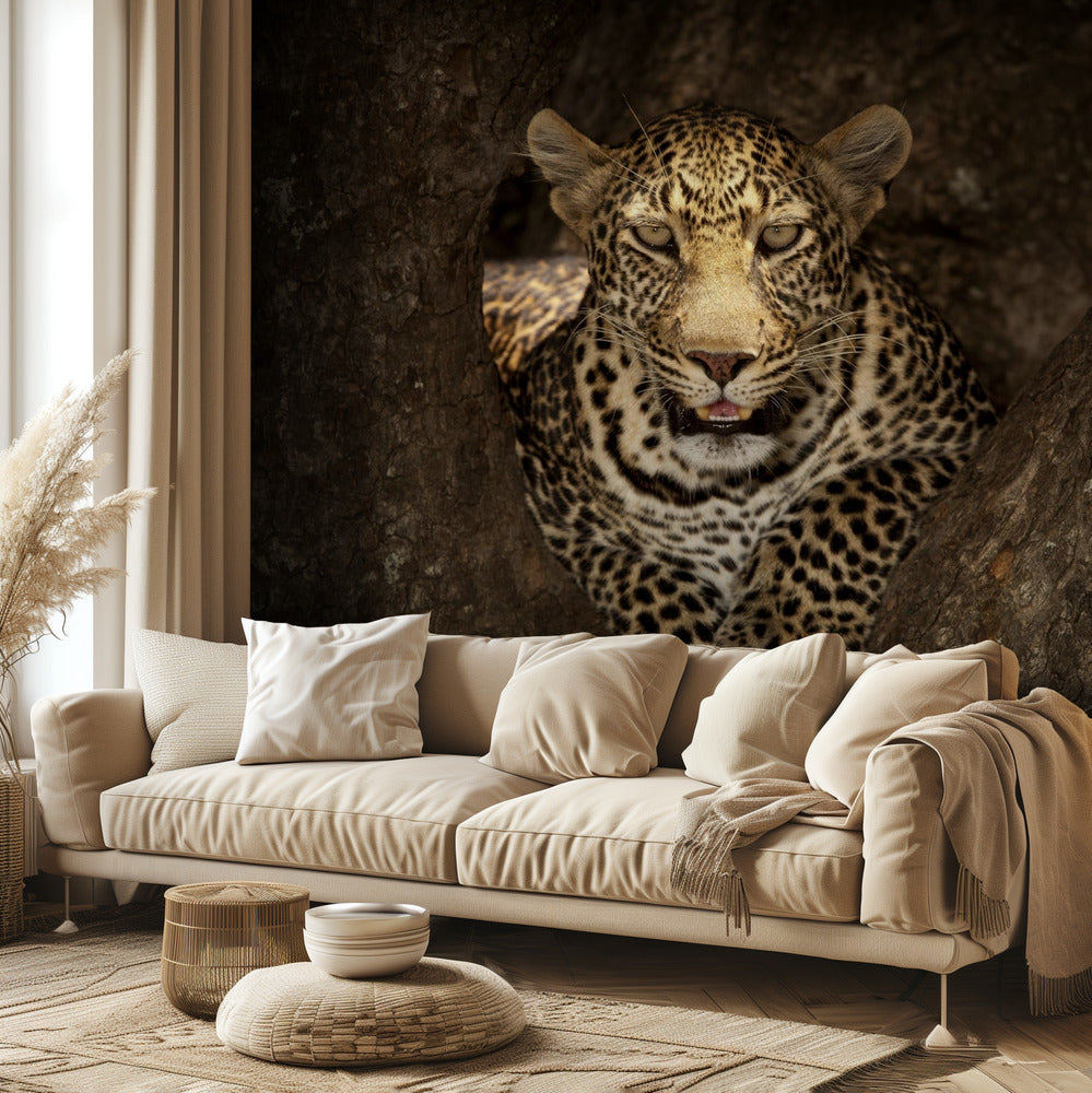 Leopardi lepää puussa Masai Marassa | Valokuvatapetit