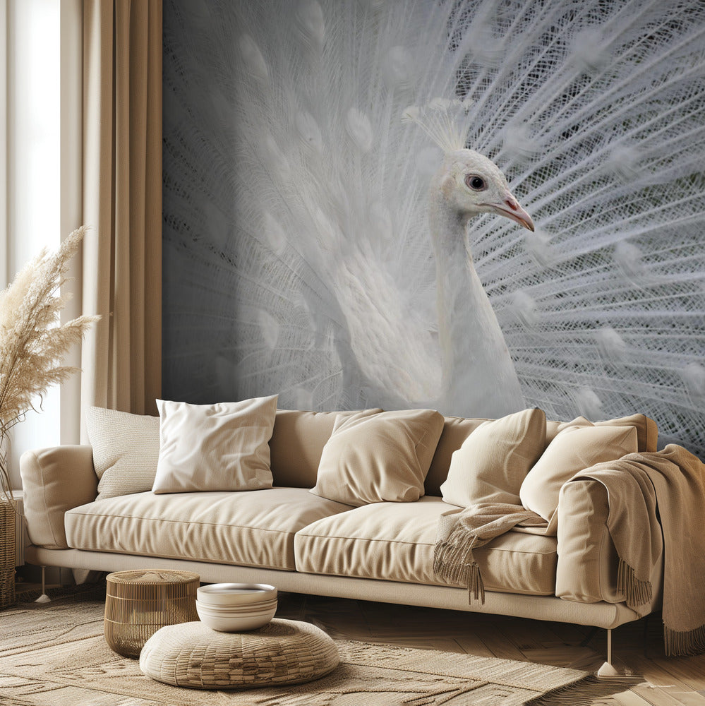 Yhtä valkoinen kuin lumi | Valokuvatapetit