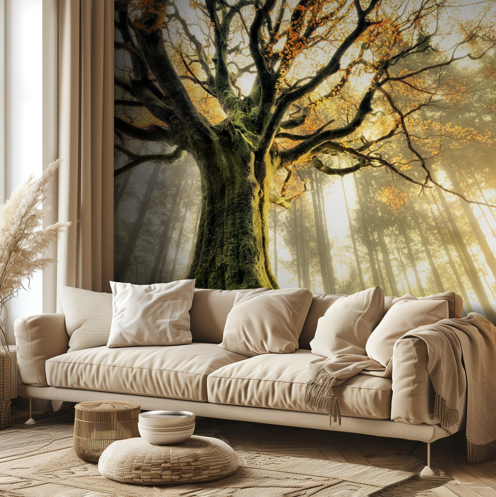 November | Fototapeten