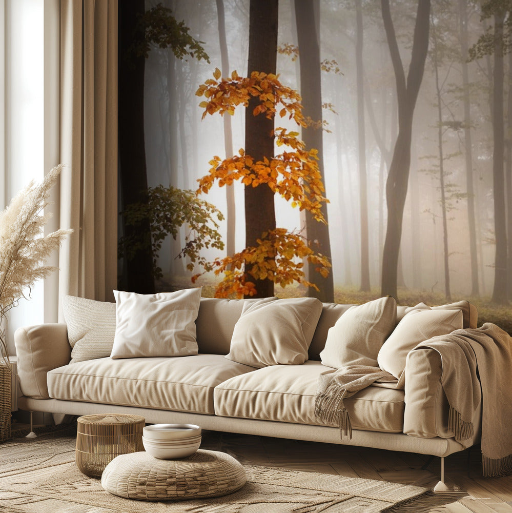 Nella luce di novembre | Carta da Parati Fotografica