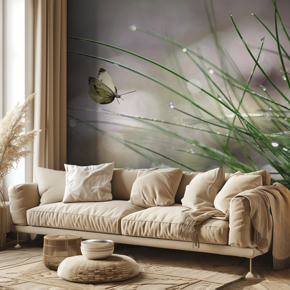 Välitön laskeutuminen | Valokuvatapetit