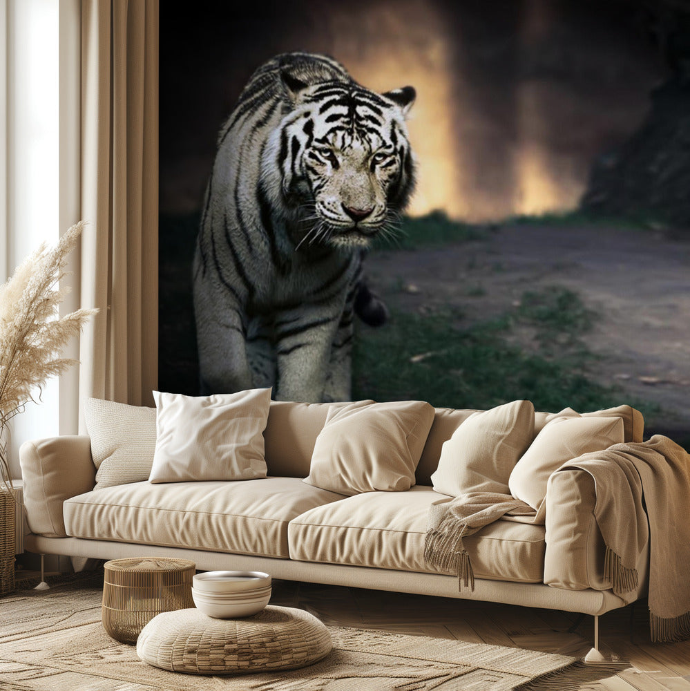 Valkoinen kävelijä | Valokuvatapetit