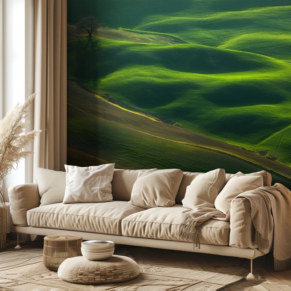 Eiche... | Fototapeten