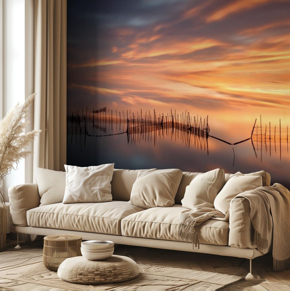 Kalaverkot | Valokuvatapetit