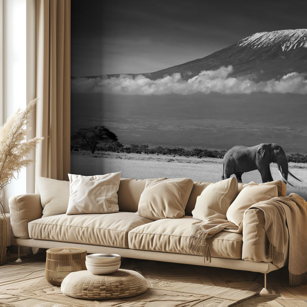 Kadonneet värit II | Valokuvatapetit