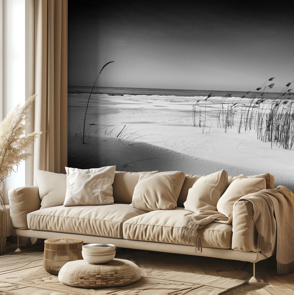 Orkesteri | Valokuvatapetit