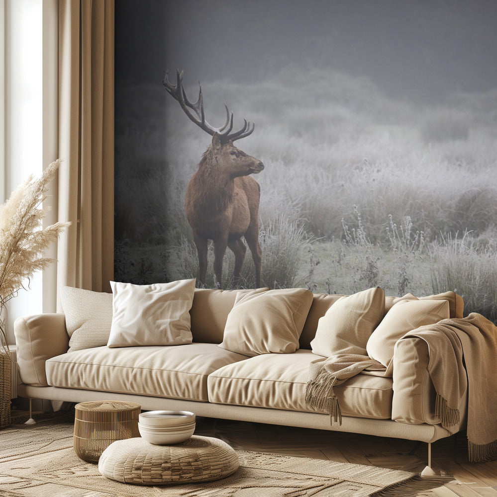 Prideful. deer . | Wallpaper