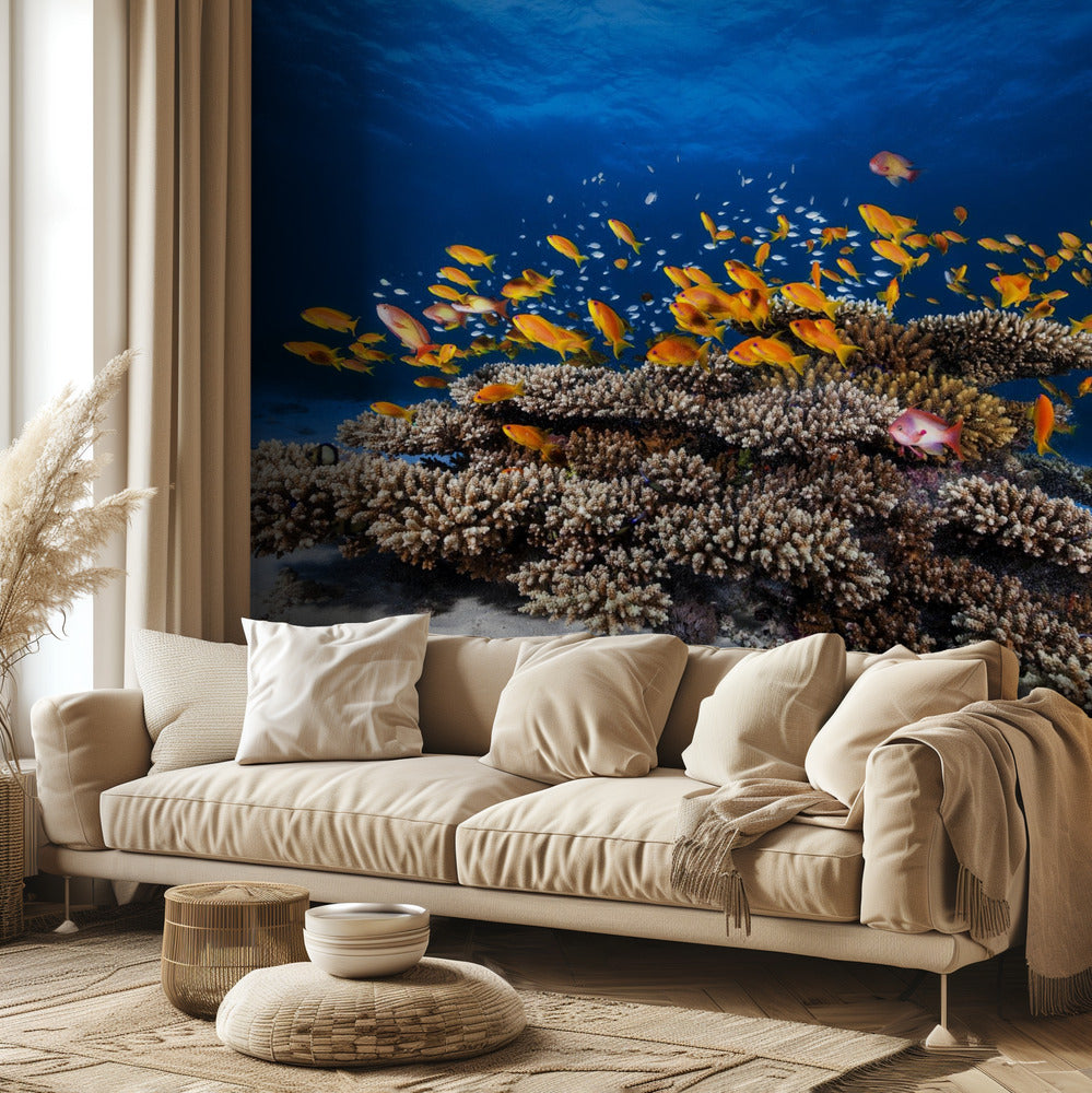 Vita marina | Carta da Parati Fotografica