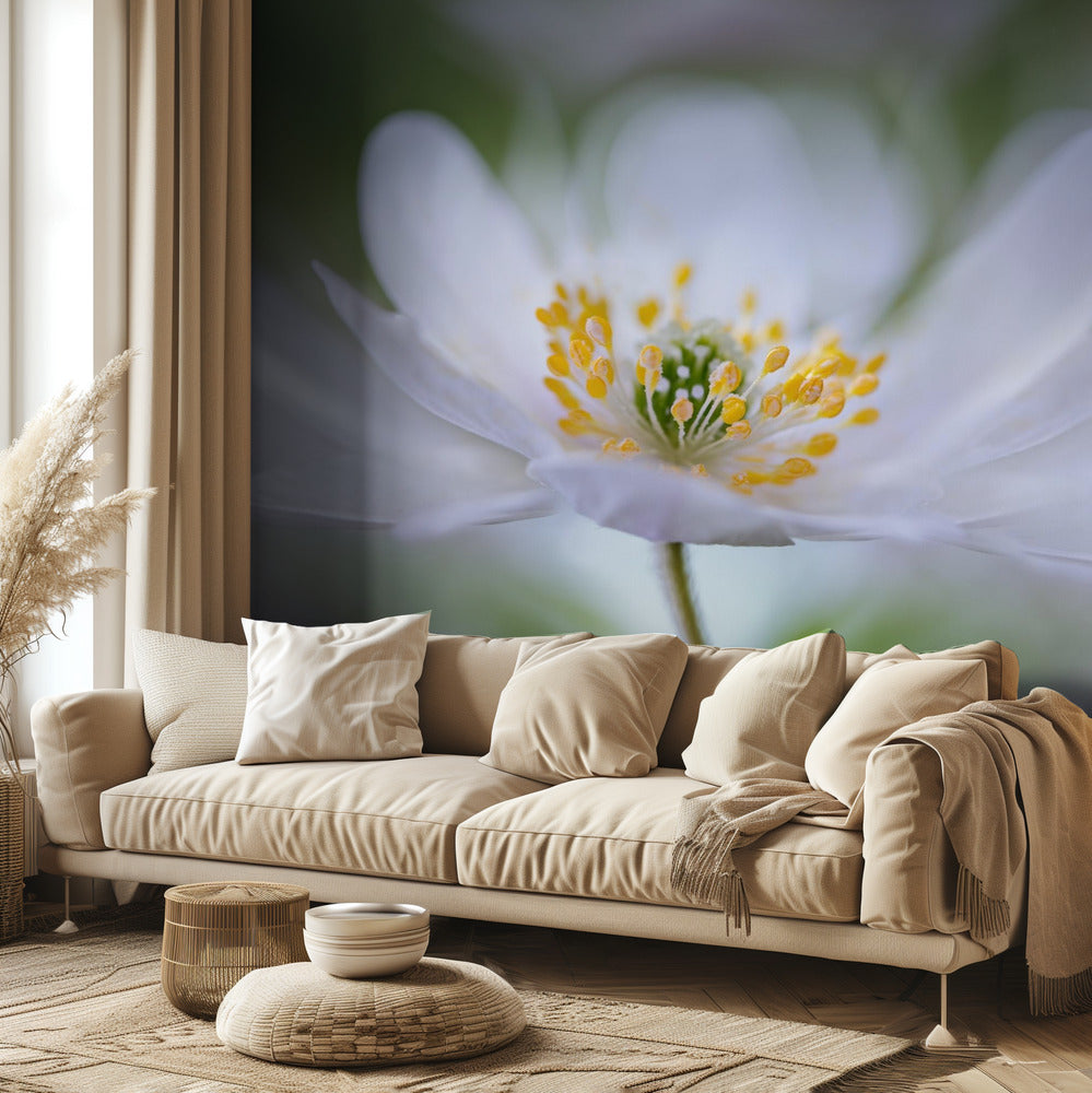 Nemorosa Nirvana | Wallpaper