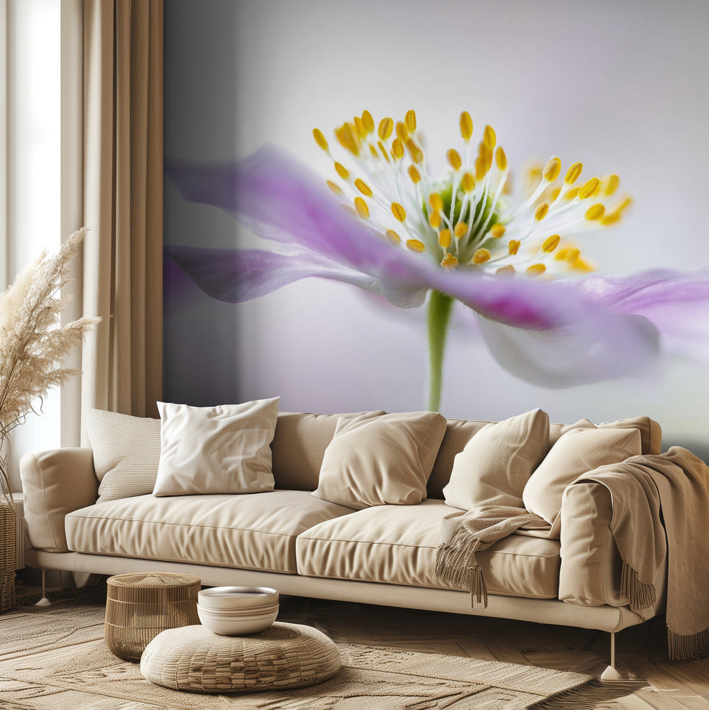 Wood Anemone | Wallpaper