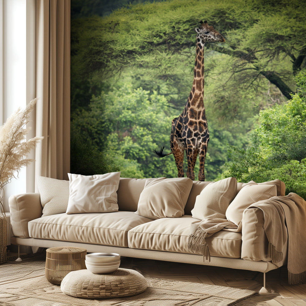 odottamaton tapaaminen | Valokuvatapetit