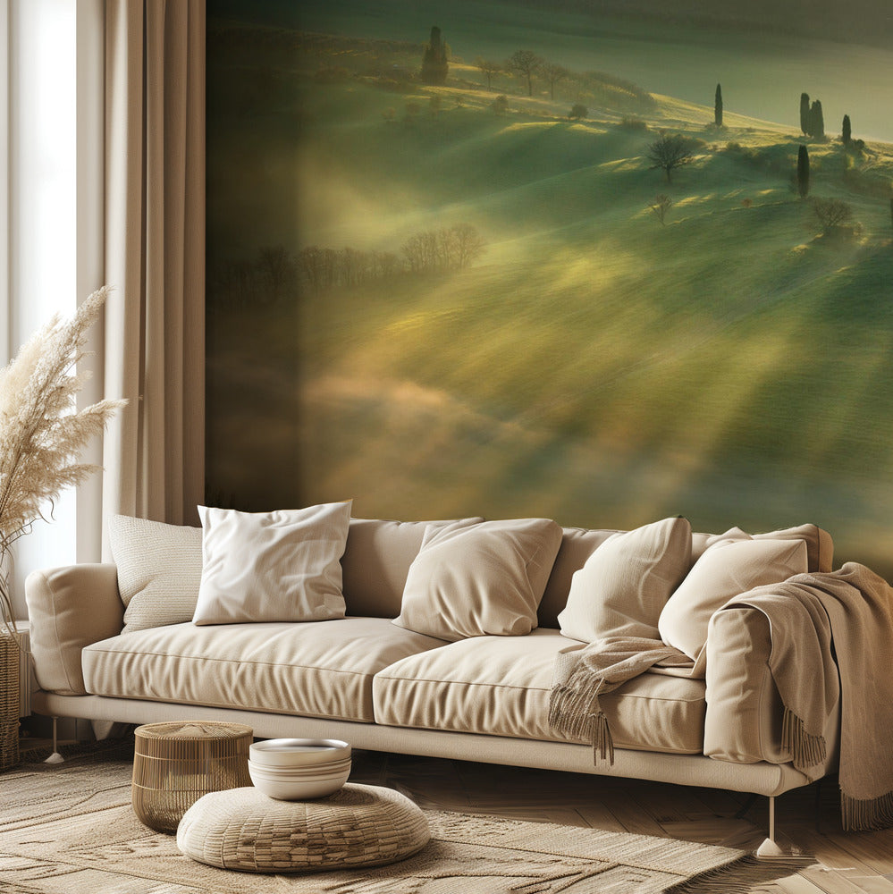 Mgła... | Fototapeta