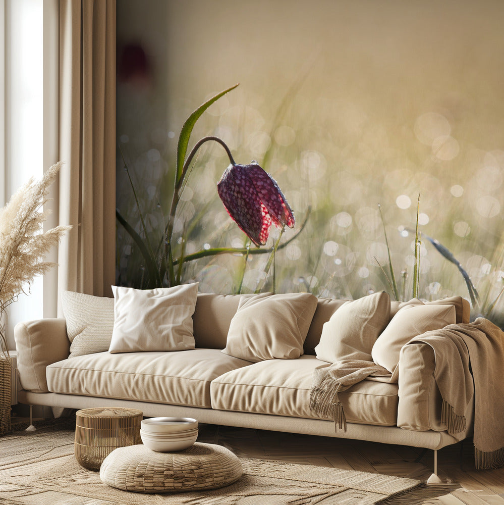 Rocío de la mañana | Papel Pintado Fotográfico