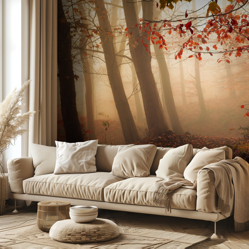 Kohti valoa. Valokuvatapetit