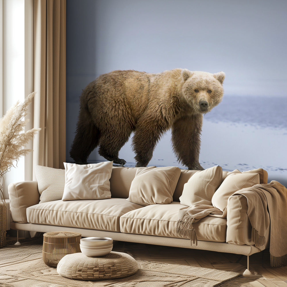 El paseo del oso | Papel Pintado Fotográfico