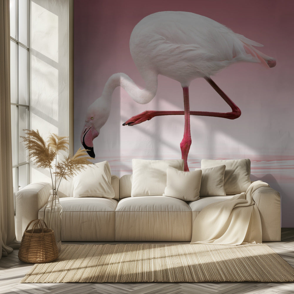 Flamingo | Wallpaper