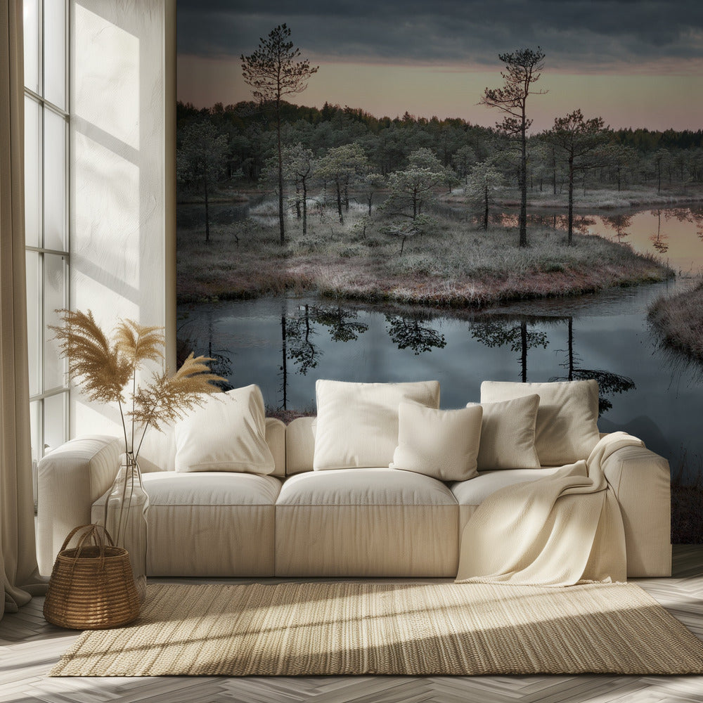 Spildt maling | Fototapeter