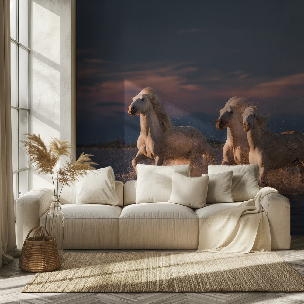 Camarguen enkelit | Valokuvatapetit