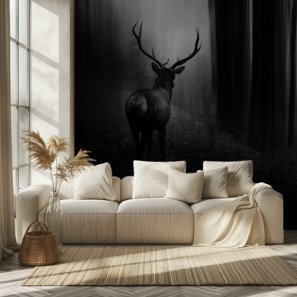 Polttarit | Valokuvatapetit