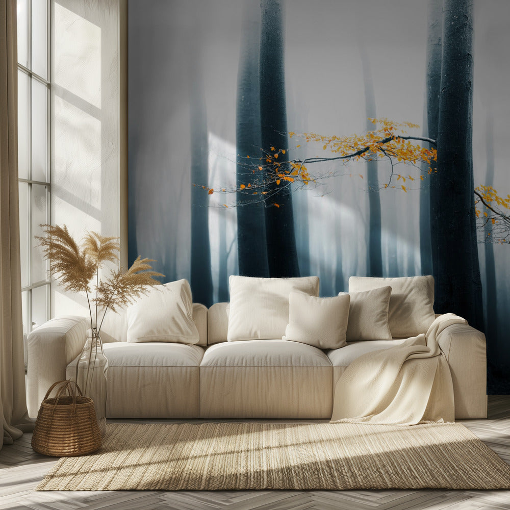 Speulder genbesøgt | Fototapeter