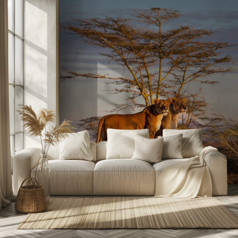 Sisaret | Valokuvatapetit