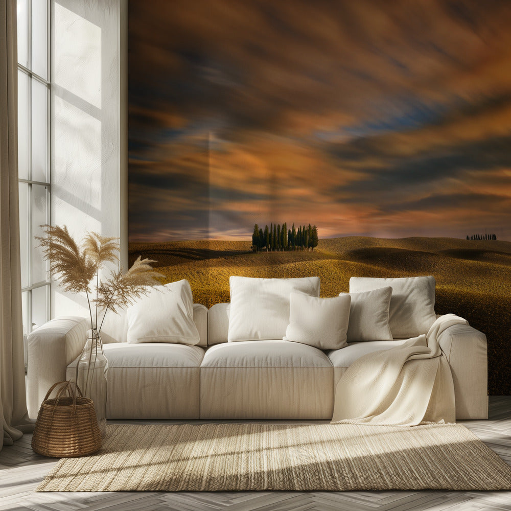 Sypressit... | Valokuvatapetit