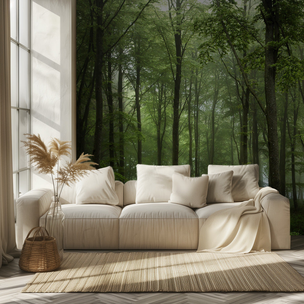 Foresta... | Carta da Parati Fotografica