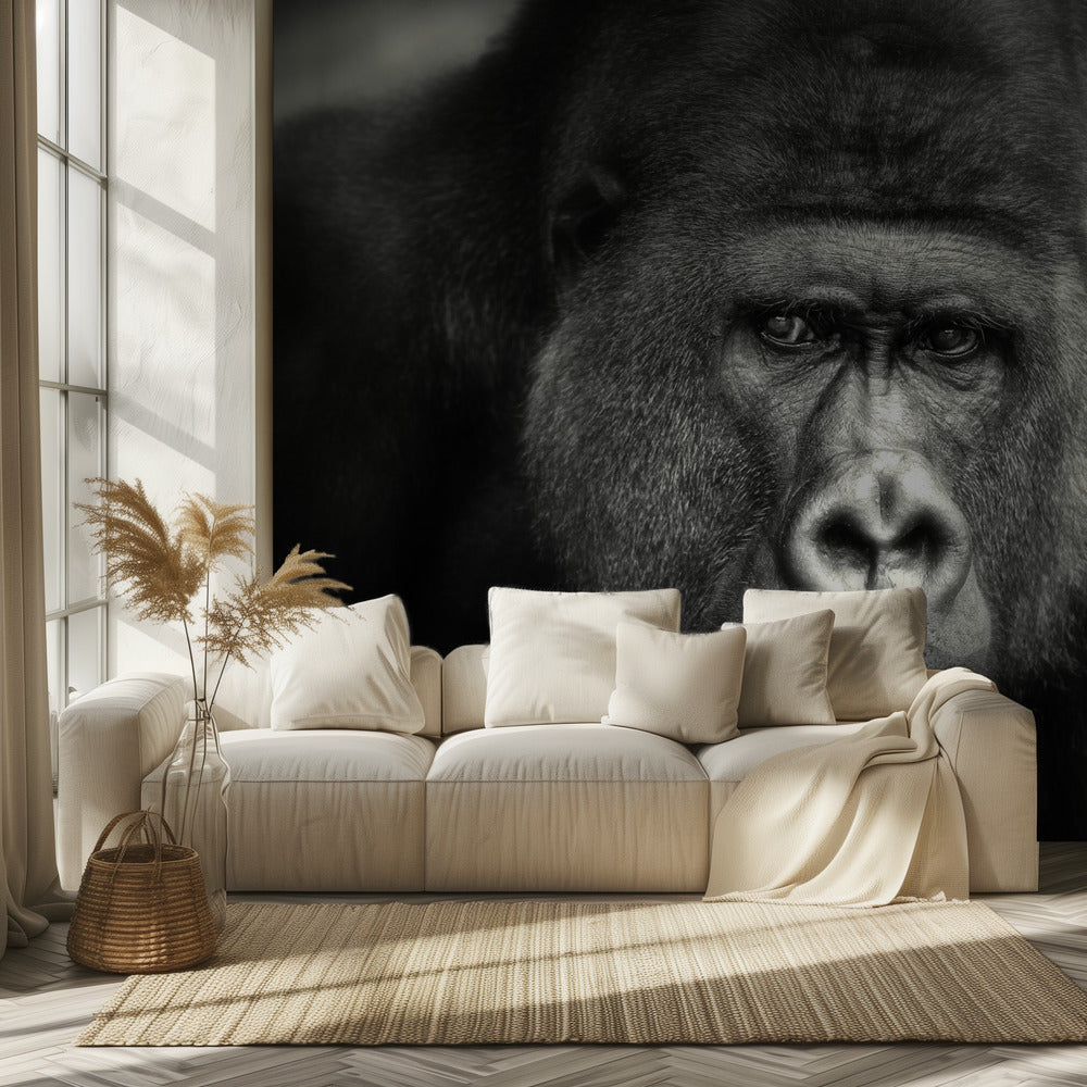 PIENI HYMY .... | Valokuvatapetit