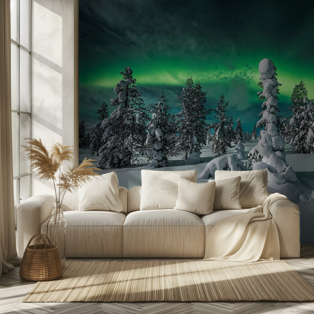 kaamosyö | Valokuvatapetit