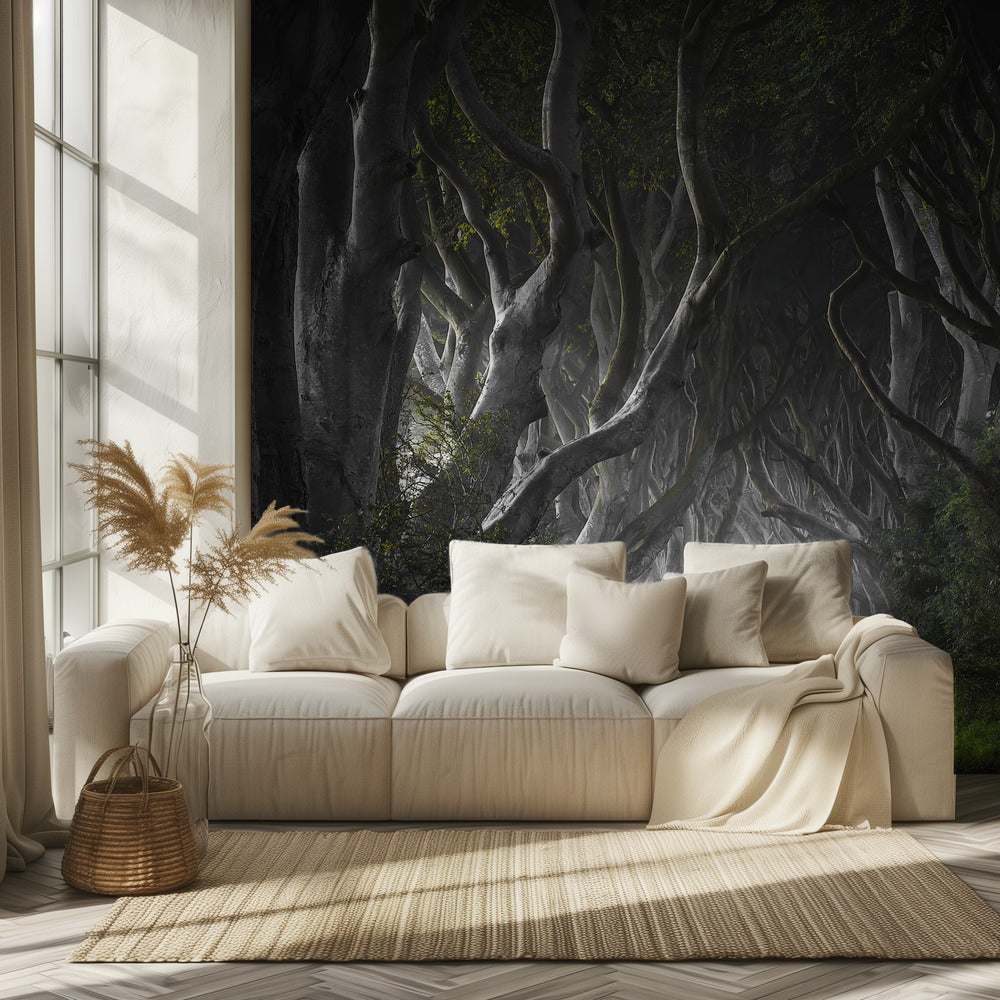 TUMMAT AIDAT | Valokuvatapetit